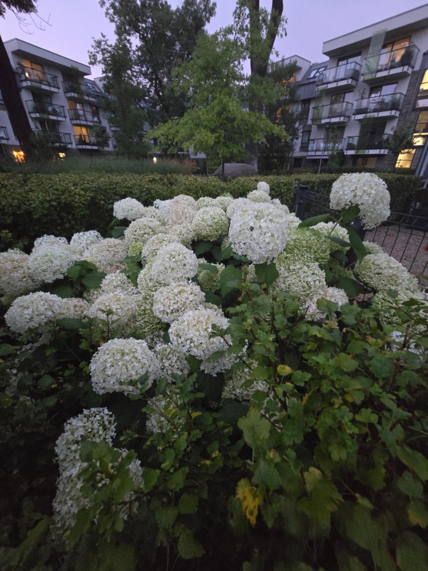 Apartament Yin I Yang Wroclaw Exterior photo